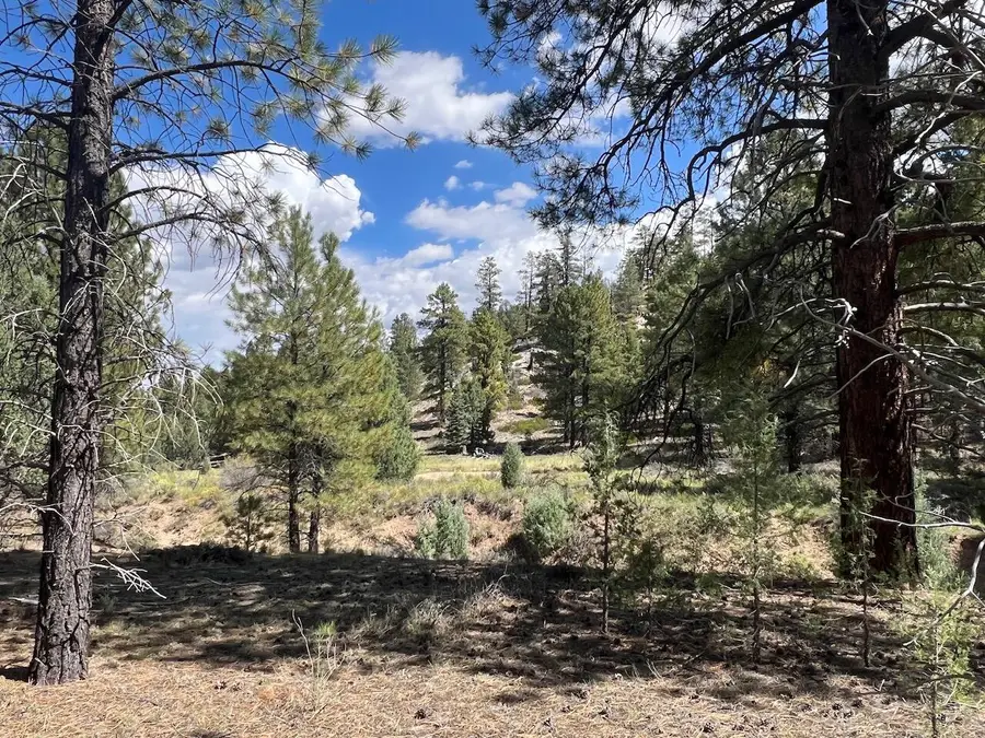 Lot # 11 Elk Ridge Estates Phase 6, Alton, UT 84710 - #3