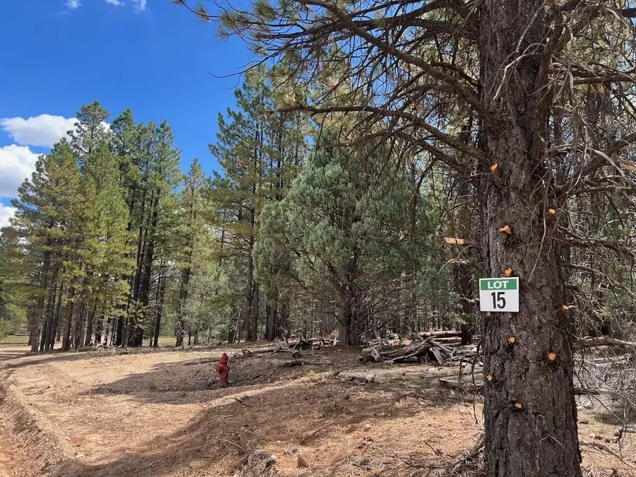 Lot # 15 Elk Ridge Estates Phase 6, Alton, UT 84710 - #3