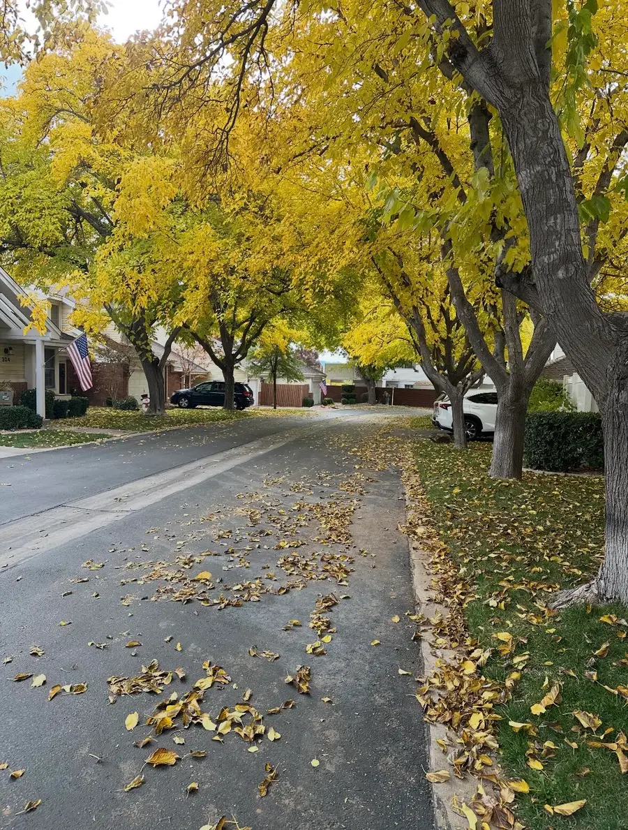 845 N Valley View Dr #500, Saint George, UT 84770 - #2