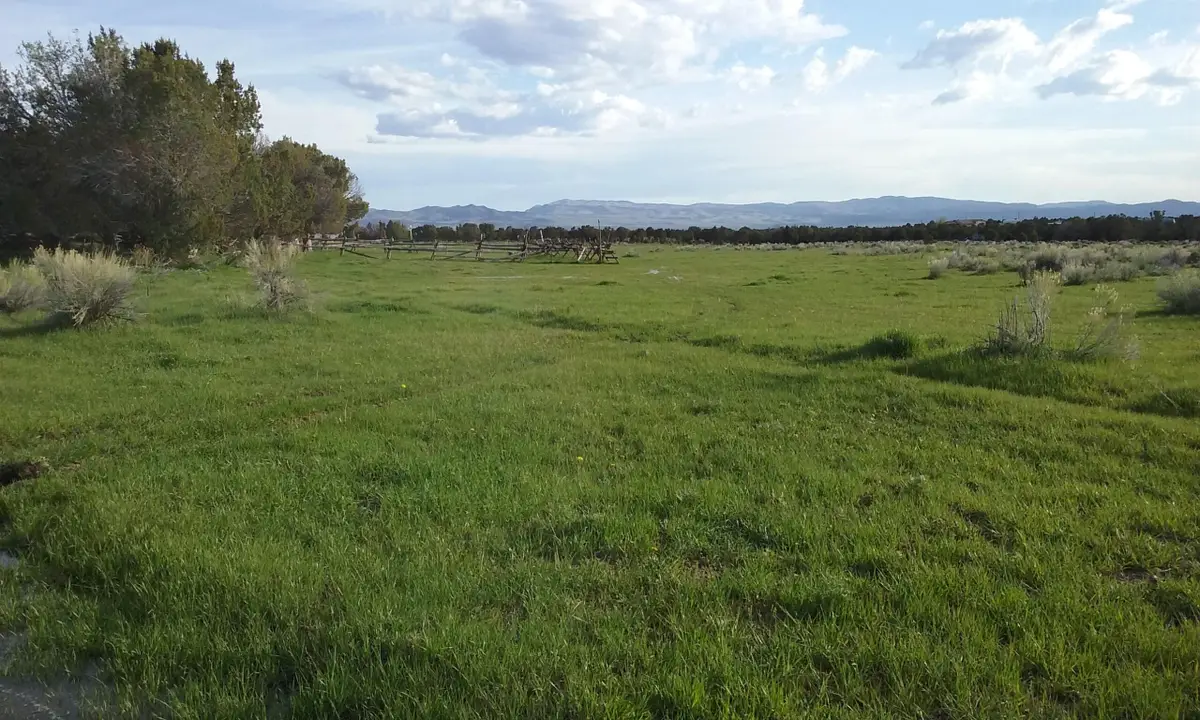 30 Acre Warby Lane Northcreek, Beaver, UT 84713 - #1