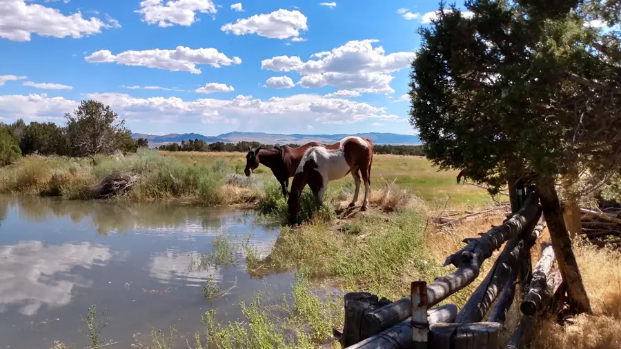30 Acre Warby Lane Northcreek, Beaver, UT 84713 - #3