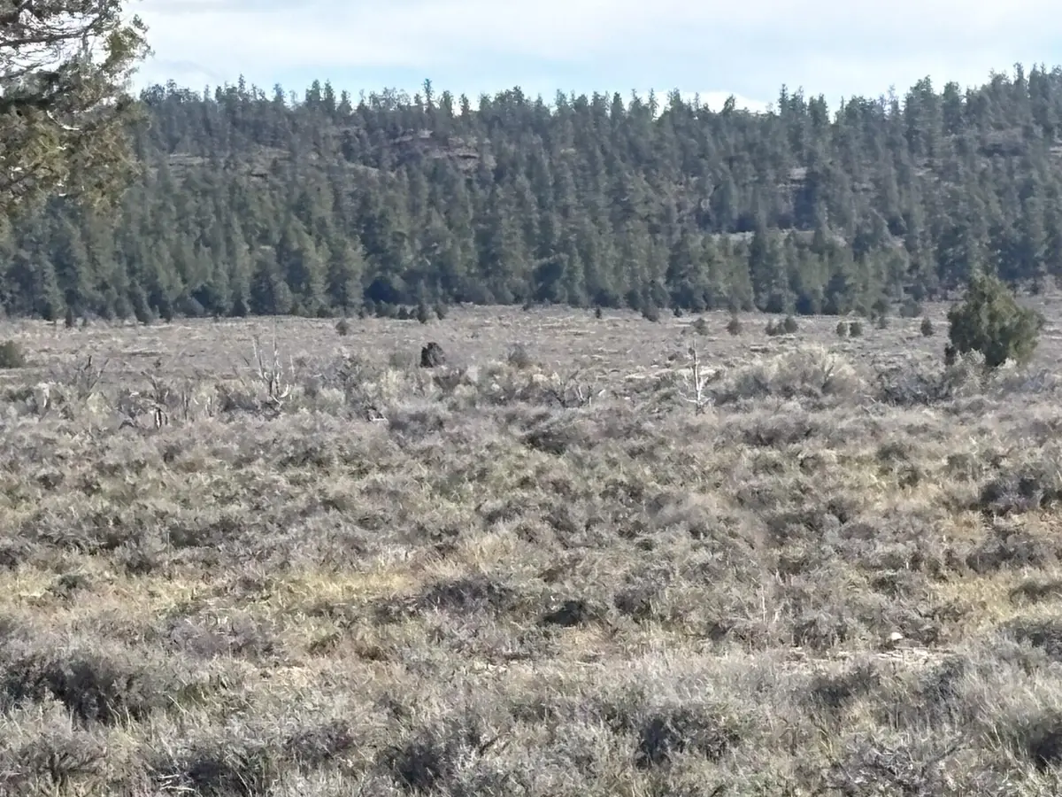 10 Acres Bryce Canyon #Sec 34 T33S R5W, Bryce Canyon, UT 84764 - #1