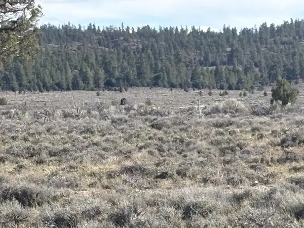 10 Acres Bryce Canyon #Sec 34 T33S R5W, Bryce Canyon, UT 84764