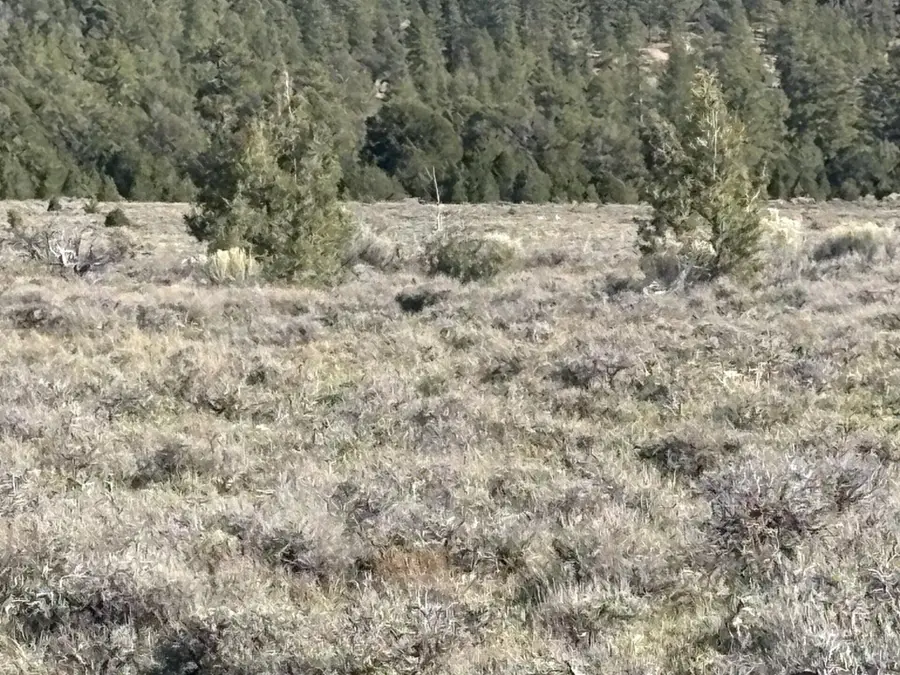 10 Acres Bryce Canyon #Sec 34 T33S R5W, Bryce Canyon, UT 84764 - #3