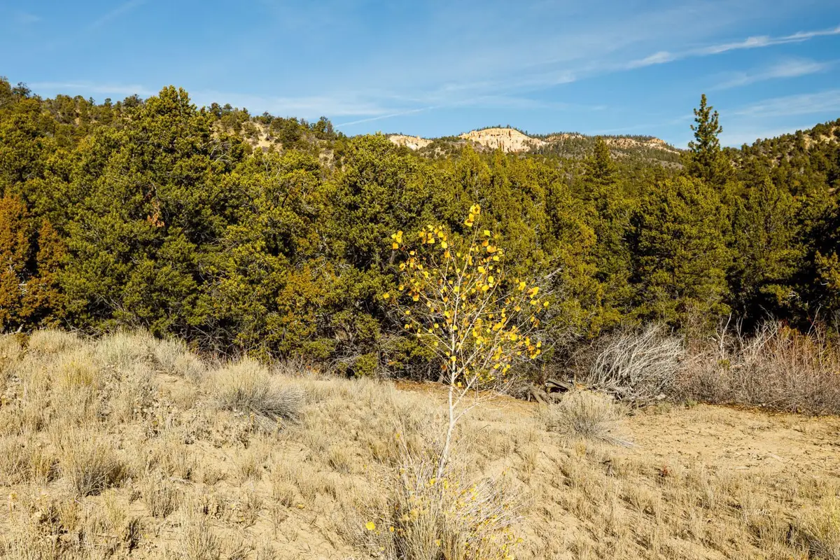 Lot 55 Crawford Canyon Rd, Deer Springs Ranch, UT 84741 - Image #1