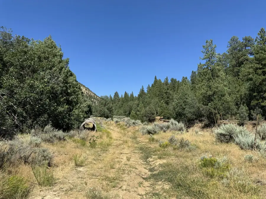 Cougar Canyon, Orderville, UT 84758 - #2
