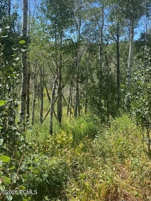 #3