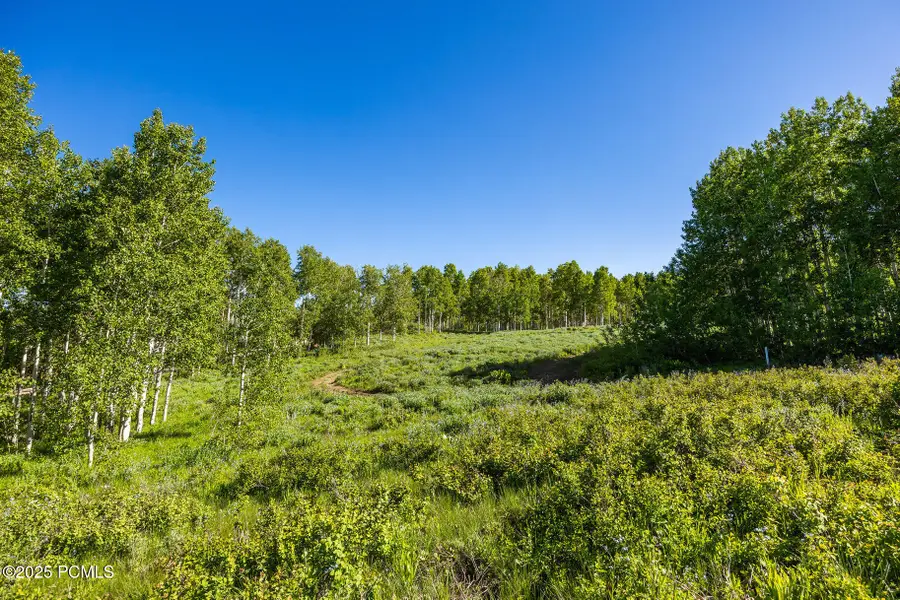 11616 Cliffrose Drive, Heber City, UT 84032 - #3