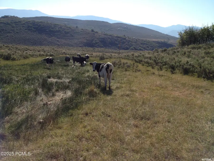 60 Corral Road, Kamas, UT 84036 - #3