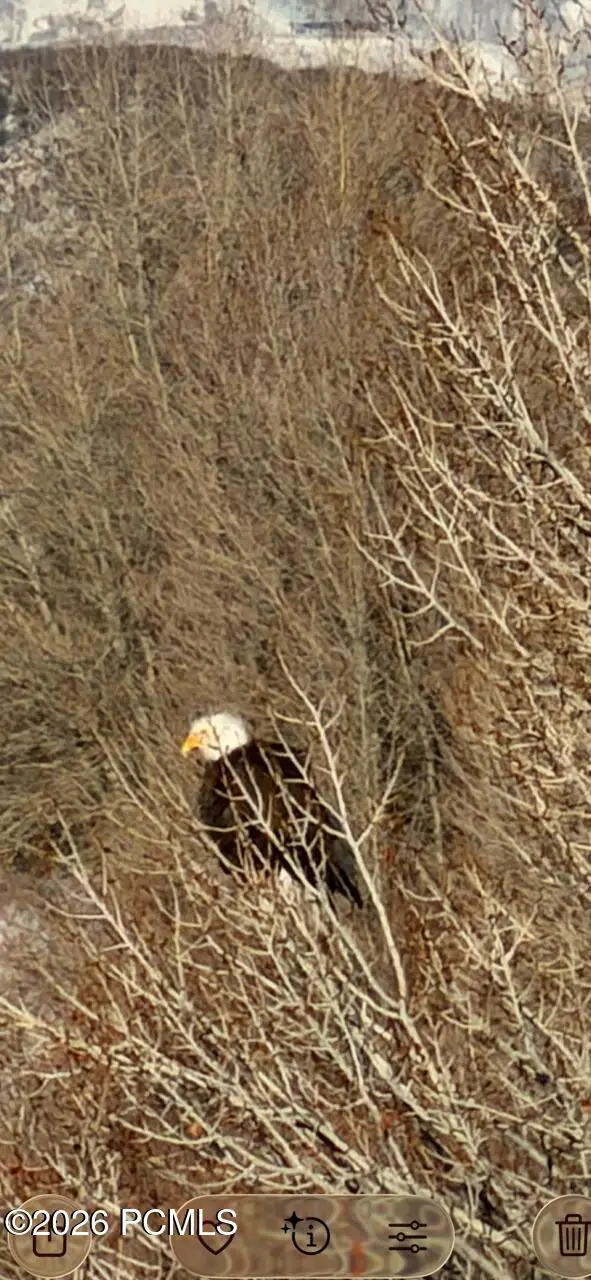 1546 Clyde Lake Drive, Heber City, UT 84032 - #3