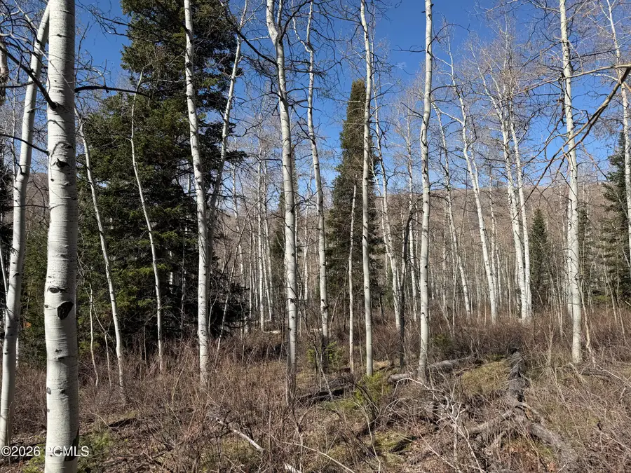 5209 White Pine Circle, Oakley, UT 84055 - #2