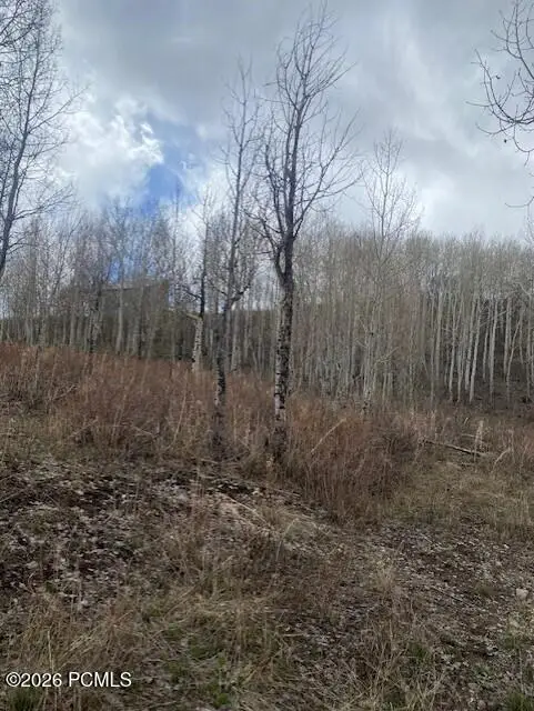 1117 W Arapaho Drive, Coalville, UT 84017 - #2