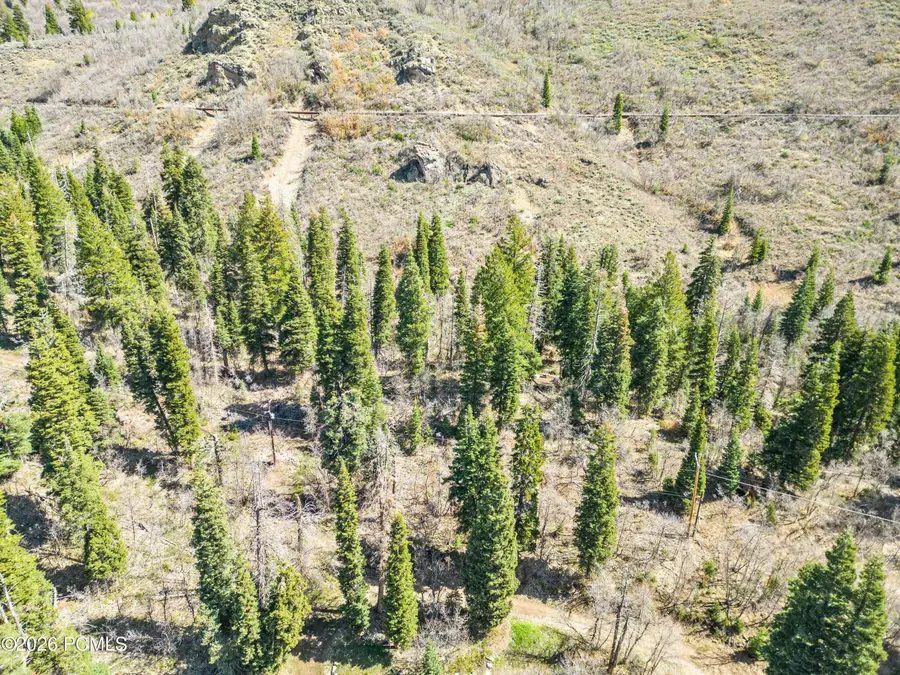 20 Success Trail, Midway, UT 84049 - #3