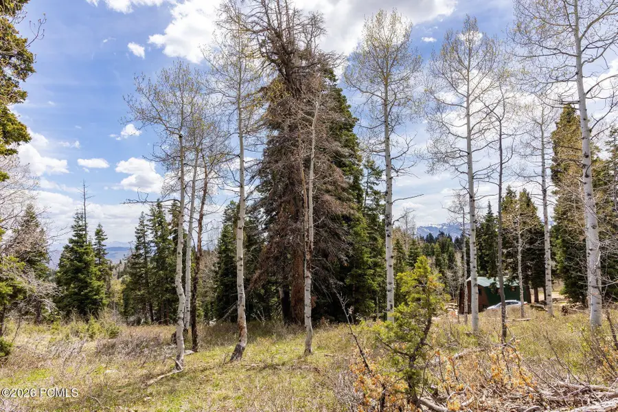 2664 Iroquois Loop, Wanship, UT 84017 - #2