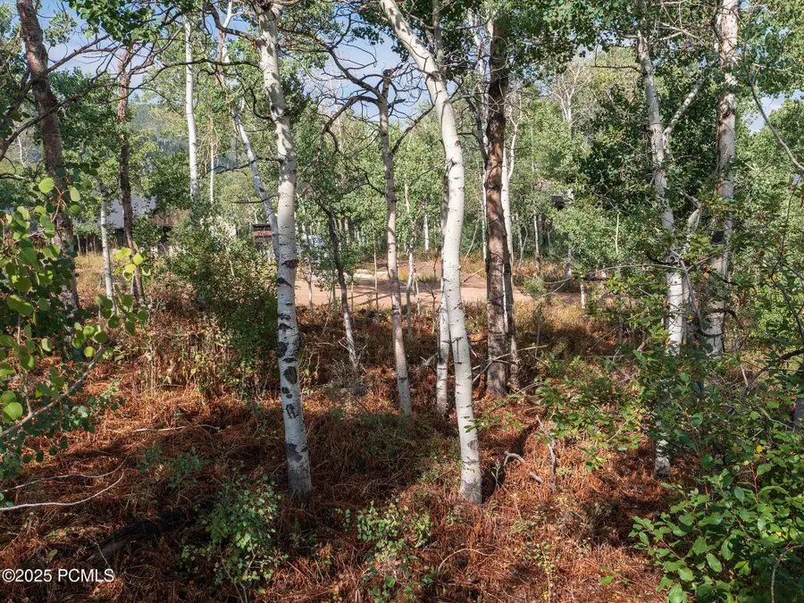 2919 S Green Briar Way, Heber City, UT 84032 - #3