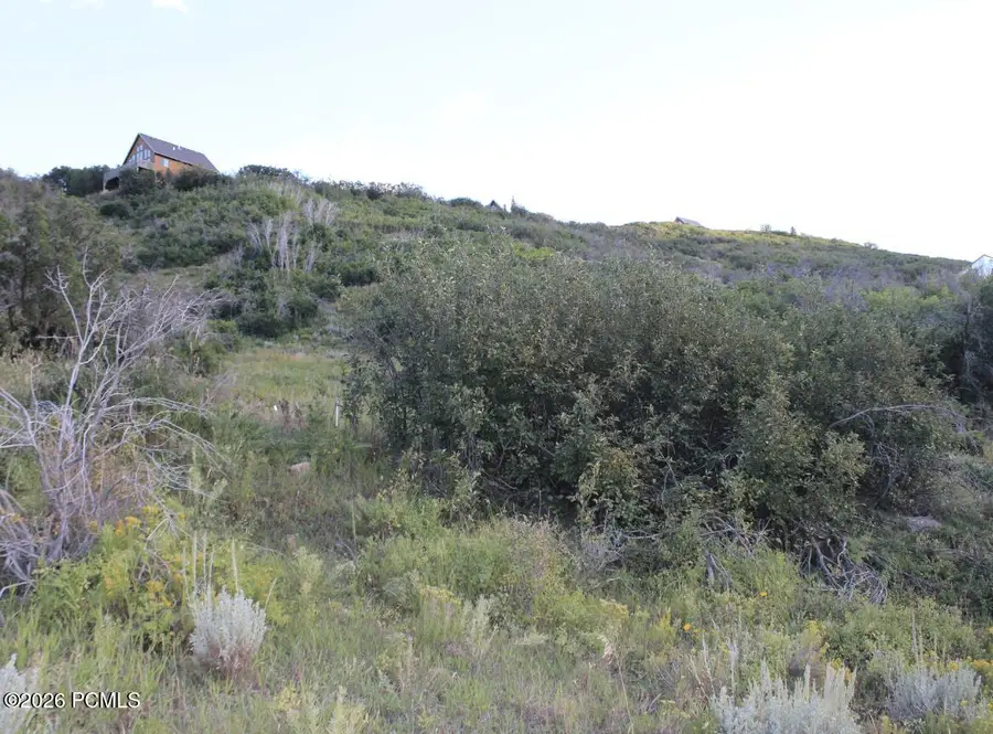 403 E Hollow Drive, Wanship, UT 84017 - #3