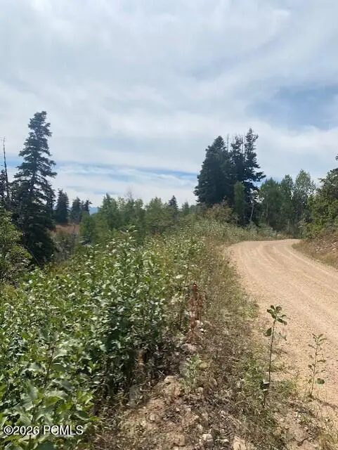 2393 S Navajo Drive, Coalville, UT 84017 - #3