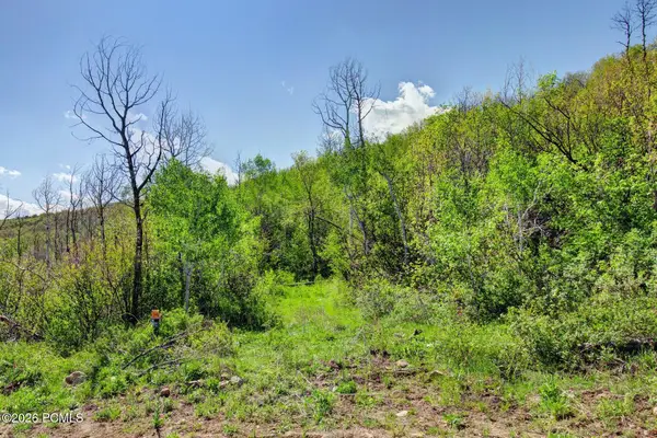 4967 S Woodland Way, Kamas, UT 84036