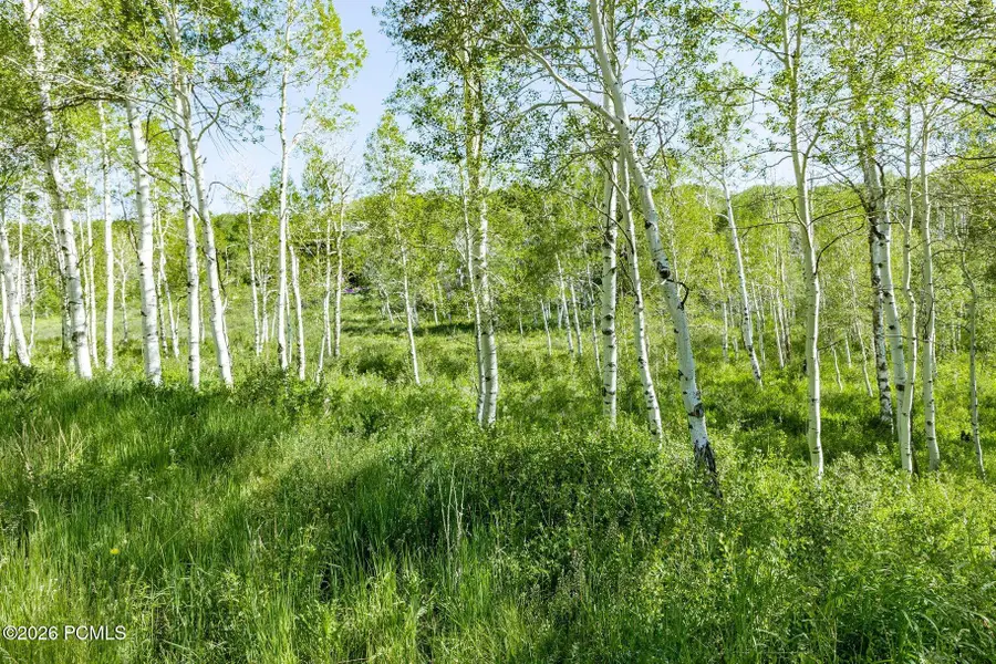 796 W Shady Lane, Coalville, UT 84017 - #3