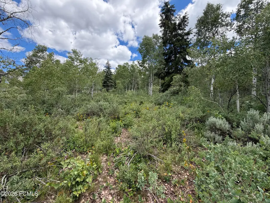 5451 E Targhee Drive, Oakley, UT 84055 - #3