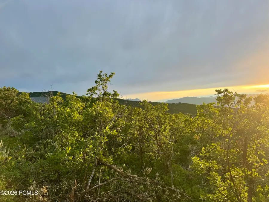 1556 S Tree Top Lane, Heber City, UT 84032 - #2