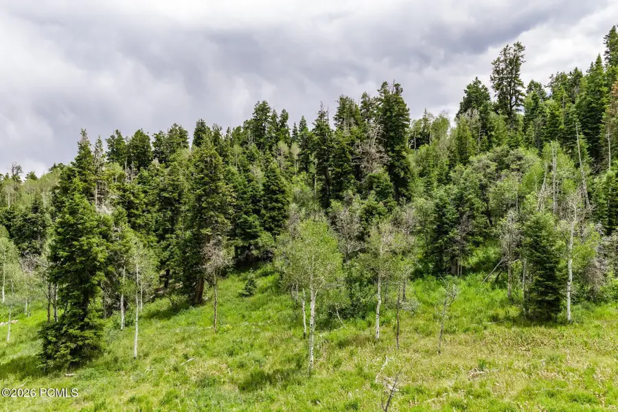 2241 S Forest Meadow Road, Coalville, UT 84017 - #2