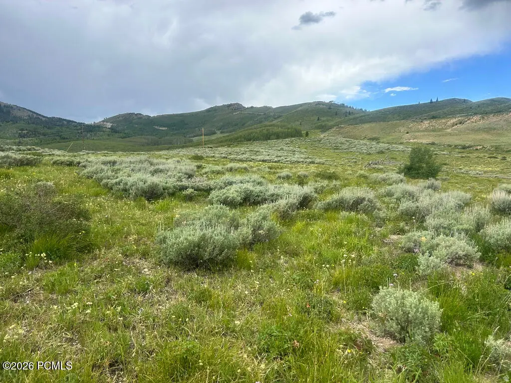 5465 Lone Hill Drive, Midway, UT 84049 - #1