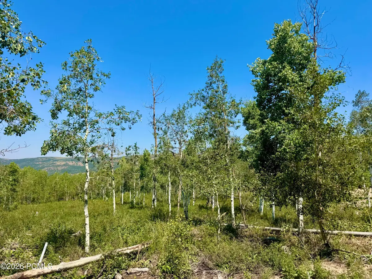 10775 E Tanglewood Drive, Heber City, UT 84032 - #1