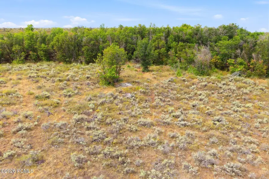 5323 Painted Valley Pass, Park City, UT 84098 - #3