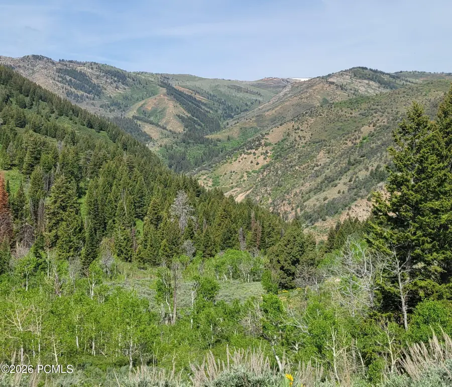 40 Sunridge Ranches, Huntsville, UT 84317 - #2