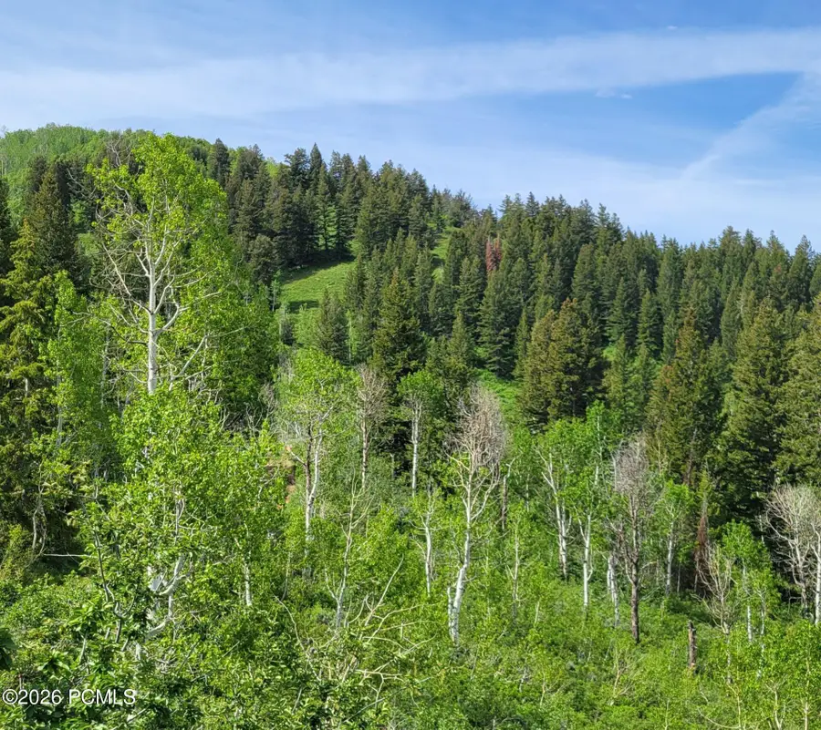 40 Sunridge Ranches, Huntsville, UT 84317 - #3