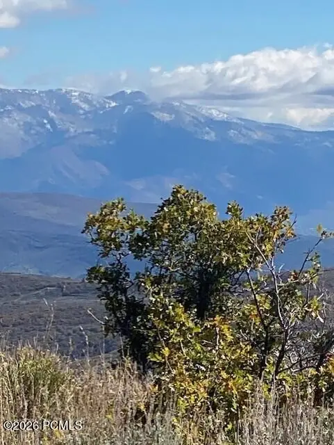 529 W Artist Point Drive, Wanship, UT 84017
