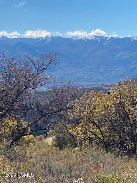529 W Artist Point Drive, Wanship, UT 84017 - #3
