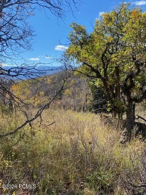 509 W Artist Point Drive, Coalville, UT 84017 - #2