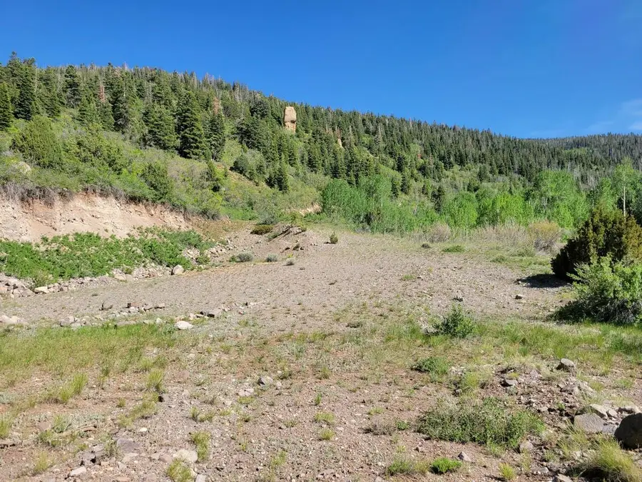 Braffits Creek Lot 61&62, Brian Head, UT 84719 - #2