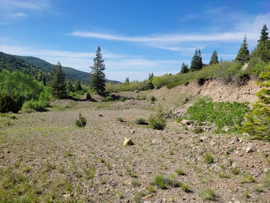 Braffits Creek Lot 61&62, Brian Head, UT 84719 - #3