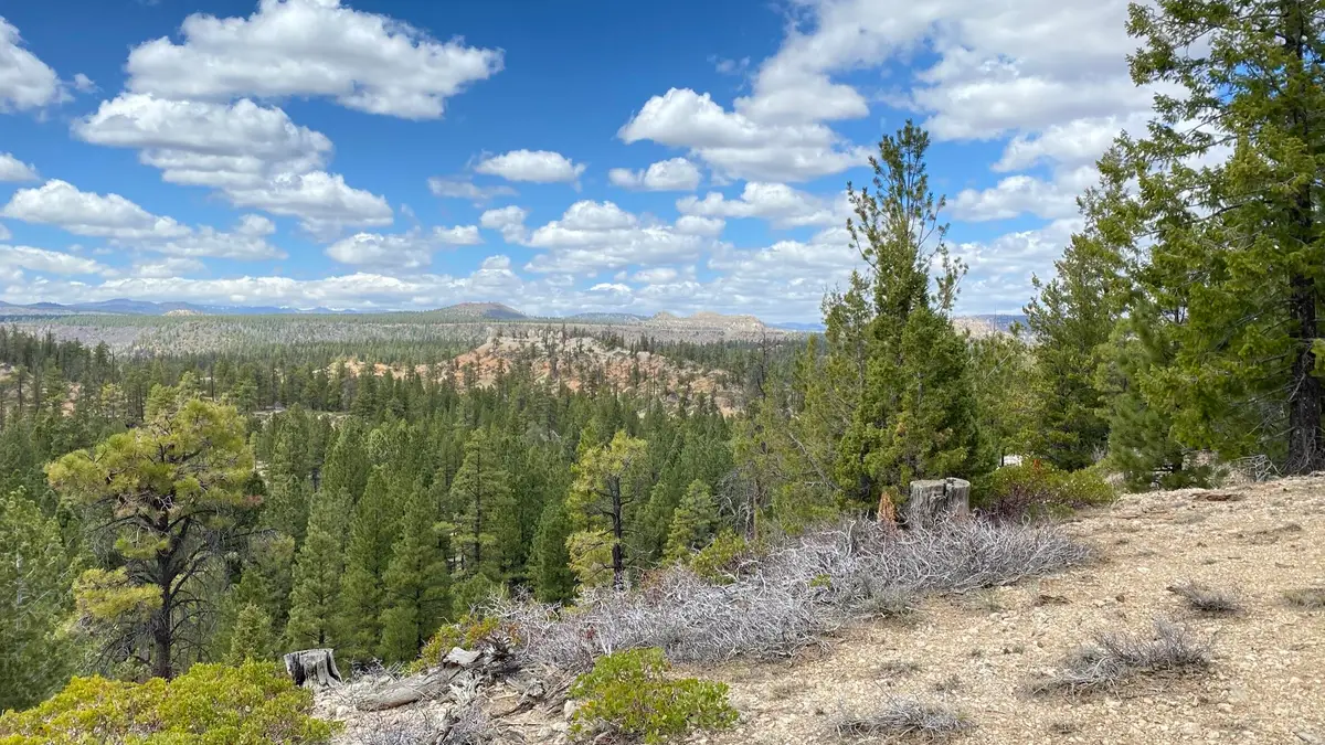 14 N. Royal Drive #14, Duck Creek Village, UT 84762 - #1