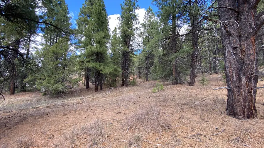 14 N. Royal Drive #14, Duck Creek Village, UT 84762 - #2