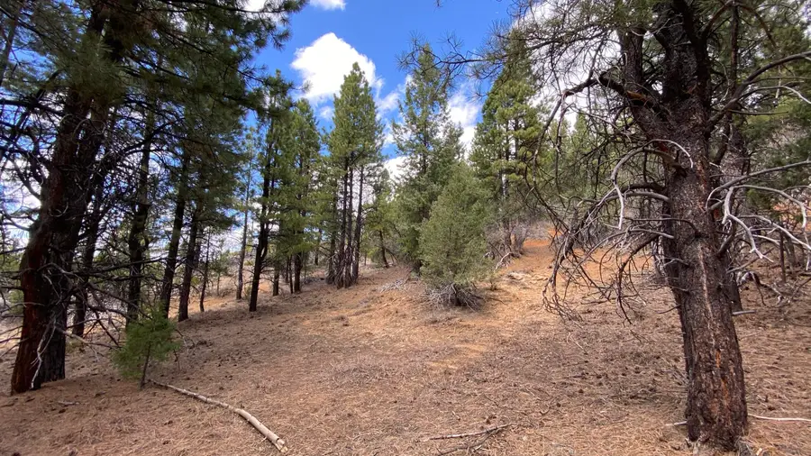 14 N. Royal Drive #14, Duck Creek Village, UT 84762 - #3