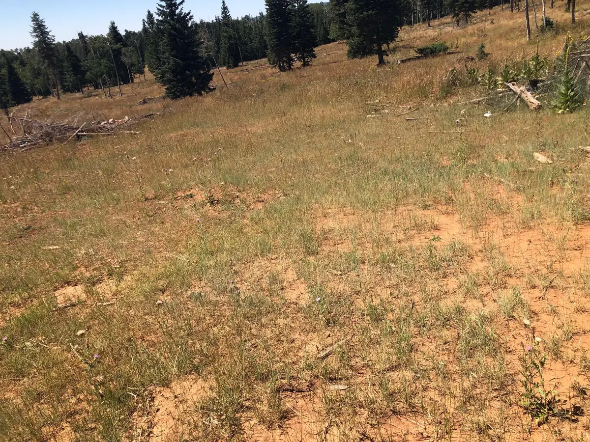 225 Ac S Of Below Navajo Lk/n Fork Rd, Duck Creek Village, UT 84762 - #1