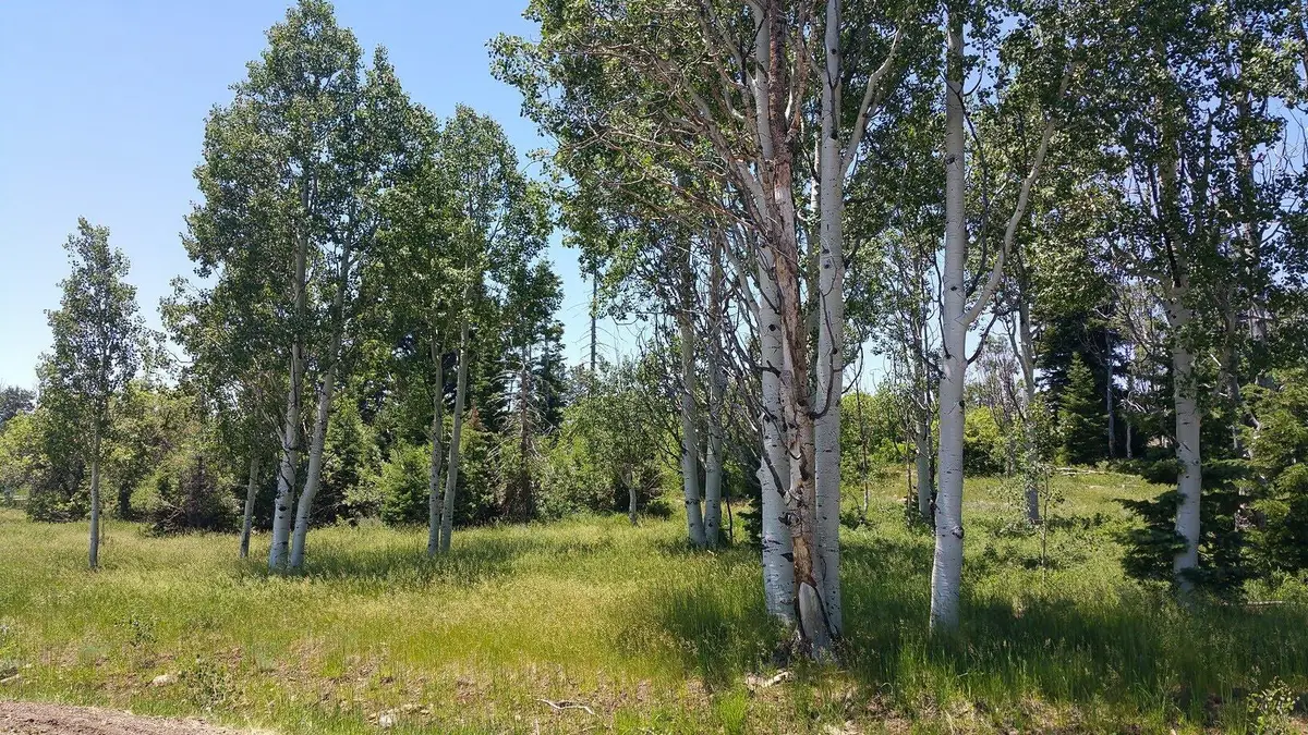 271 N Whispering Pines Rd, Virgin, UT 84779 - #1