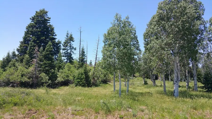 271 N Whispering Pines Rd, Virgin, UT 84779 - #2