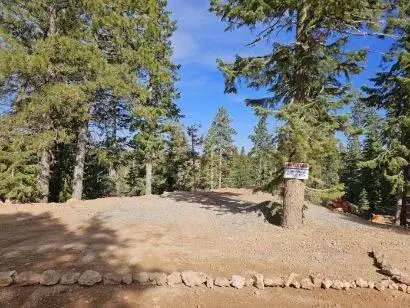 #3