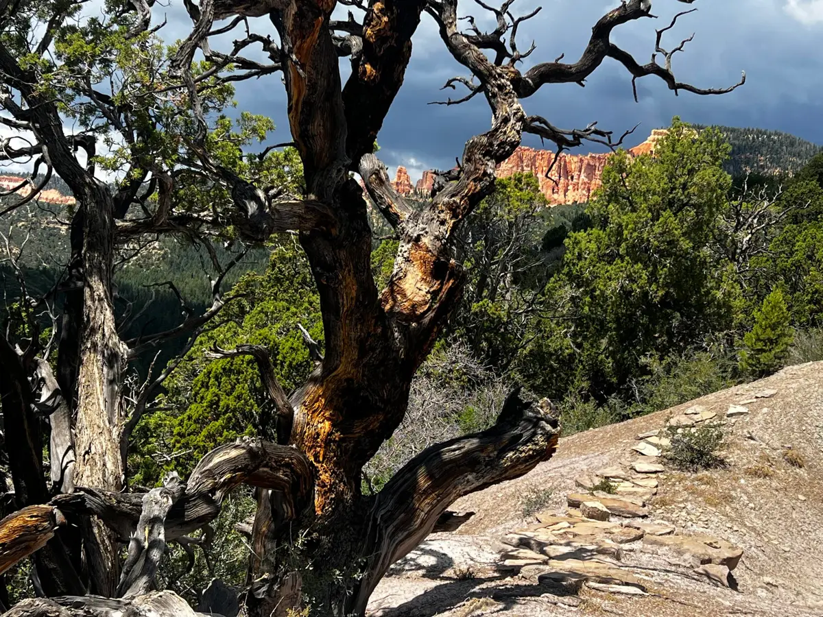 Trail's End Drive, Kanab, UT 84741 - Image #1