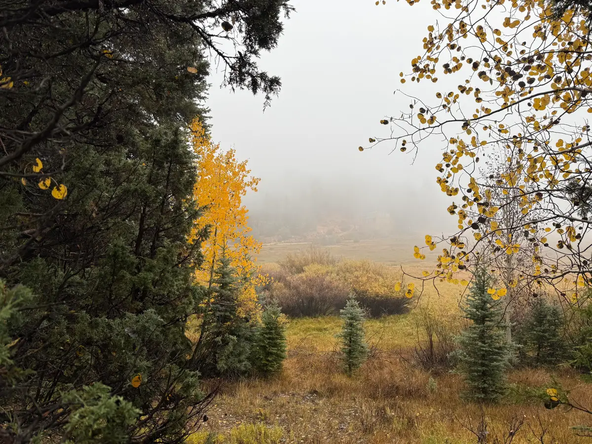 3215 E Debonair Dr, Duck Creek Village, UT 84762 - Image #1