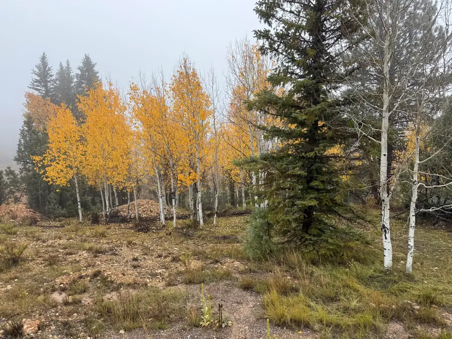 3215 E Debonair Dr, Duck Creek Village, UT 84762 - Image #2