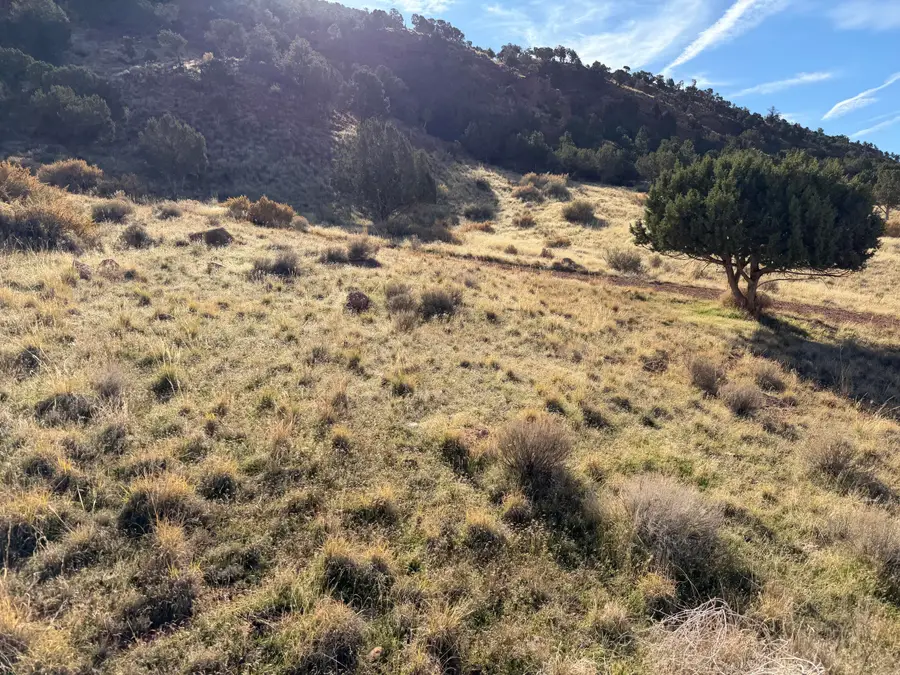 1714 N Foot Hill Dr, Paragonah, UT 84760 - Image #3