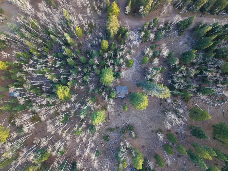 Clear Creek Estates Lot 11, Panguitch, UT 84759 - Image #3