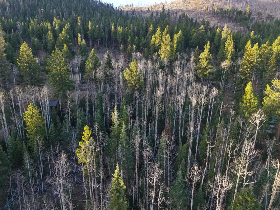 Clear Creek Estates Lot 12, Panguitch, UT 84759 - Image #2