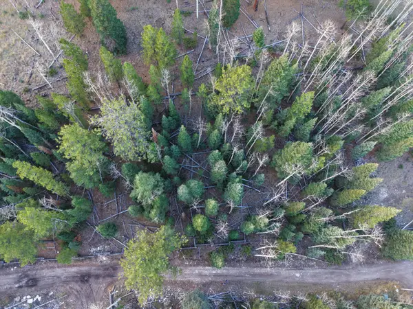 Clear Creek Estates Lot 15, Panguitch, UT 84759